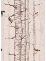Coordonne Carta da parati Birch Trees - Pink