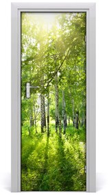 Adesivo per porta Foresta di betulla 85x205 cm