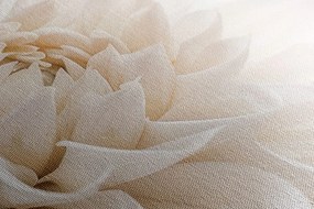 Stampa su tela – Petali bianchi
