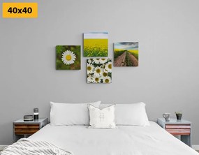Set di quadri – Prato pieno di fiori