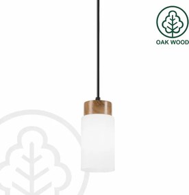 Lampada a sospensione con cavo MARKUS 1xE27/15W/230V nero/rovere