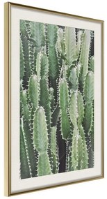 Poster  Cactus Plantation  Cornice Quadri Cornice d'oro con passe-partout, Larghezza x Altezza Home decor 20x30