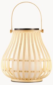 Lampada solare a batteria Leo Nature