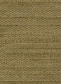 Élitis Tapete Sisal - RM 1069 66