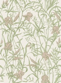 Cole & Son Carta da parati Iris - Soft Coral on Chalk
