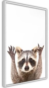 Poster Funny Racoon