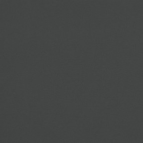 Ombrellone da Giardino con Palo in Legno Antracite 400x273 cm