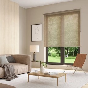Tenda a rullo filtrante INSPIRE Rimo marrone 150x250 cm