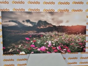 Quadro su tela – Prato di fiori in fiore