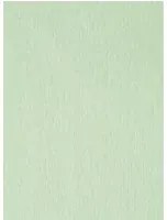 Sanderson Tapete Caspian Strie - Grass