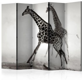 Paravento design Giraffe II (5-parti) - scena in bianco e nero con giraffe nella nebbia