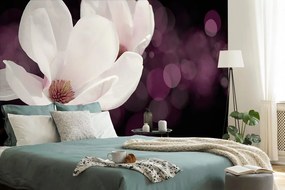 Carta da parati autoadesiva – Fiore di magnolia su sfondo astratto