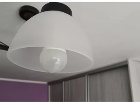 Vetro di ricambio per portalampada E27, diametro 18 cm, in vetro opalino