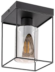 Rabalux 71031 - Plafoniera CHADWICK 1xE27/25W/230V