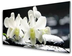 Quadro di vetro Pietre Fiori Orchidea 100x50 cm