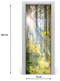 Poster adesivo per porta Il sole nella foresta 75x205 cm