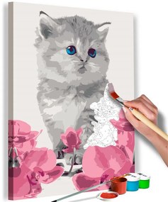 Quadro fai da te  Gattino  Colore Rosa, Dimensioni e Misure 40x60