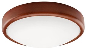 Plafoniera LED 1x12W/230V