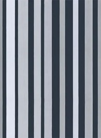 Cole & Son Carta da parati Carousel Stripe - Silver/ Charcoal