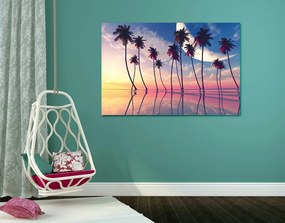 Stampa su tela – Tramonto sopra palme tropicali