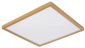 Globo 41563-24MM - Plafoniera LED dimmerabile SAPANA LED/24W/230V IP44