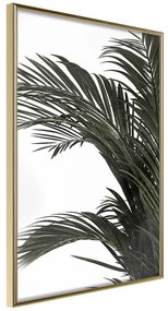 Poster  Jungle Scent  Cornice Quadri Cornice d'oro, Larghezza x Altezza Home decor 40x60