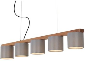 Briloner 4075-054 - Lampadario a sospensione con cavo 5xE14/25W/230V