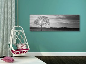 Stampa su tela – Albero solitario in bianco e nero