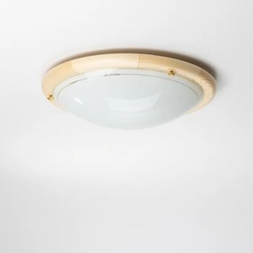 Rabalux 5421 - Plafoniera UFO 2xE27/60W/230V