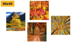 Set di quadri – Natura autunnale in colori splendidi