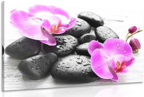 Stampa su tela – Bella armonia di pietre e orchidee