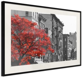 Poster  Autumn Colours II  Cornice Quadri Cornice nera con pass-partout, Larghezza x Altezza Home decor 45x30