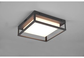 Applique da esterno a LED (altezza 10 cm) Witham - Trio