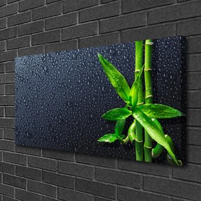 Quadro su tela Bambù Stelo Pianta Natura 100x50 cm