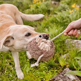 Giocattolo per cane Riccio - P.L.A.Y.