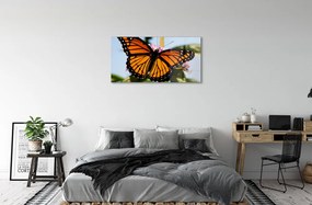 Quadro acrilico Farfalla colorata 100x50 cm