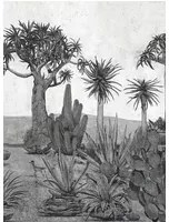 Coordonne Carta da parati panoramica Meiji - Chia Seed