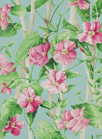 Manuel Canovas Carta da parati Elena - Rose/ Aqua