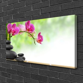 Quadro su tela Germogli di bambù Kamie Zen Spa 100x50 cm