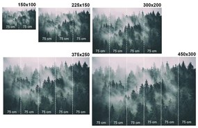 Carta da parati autoadesiva – Cascata nella foresta
