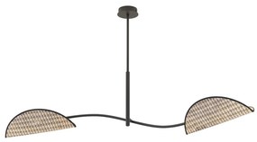 Plafoniera Moderna Ares Acciaio Nero 2 Luci E14 Ip20