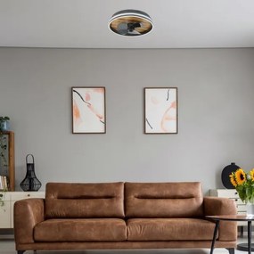 Rabalux 71016 - Plafoniera LED dimmerabile FAUSTINE LED/30W/230V + +TC