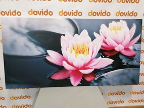 Quadro su tela – Fiore di loto nel lago