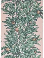 Tapete Medlar von Osborne & Little - Blush/ Mint