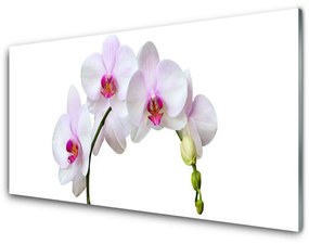 Rivestimento parete cucina Orchidea Fiori di orchidea 100x50 cm