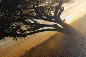 Quadro su tela – Elefante all'alba