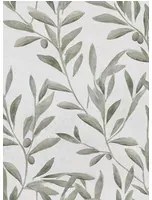 Coordonne Carta da parati Olivetum - Matcha