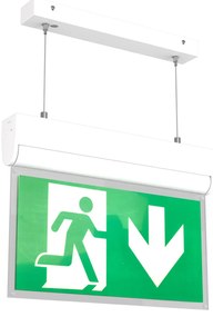 Lampada Emergenza a Sospensione 3h S.E S.A Cinema Mode - Bianca o Nera Colore Bianco Freddo 6.000K