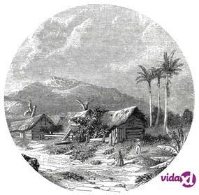 WallArt Carta da Parati Circolare Landscape of Guadeloupe 142,5 cm