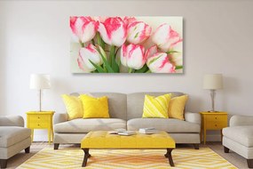 Quadro su tela – Tulipani con tocco primaverile